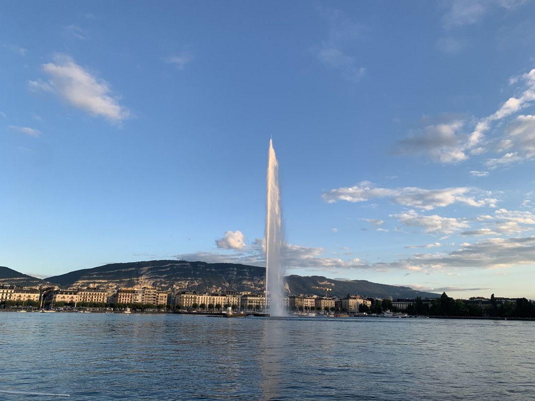 Face au lac – Surface entièrement rénovée – Genève (GE-CH)