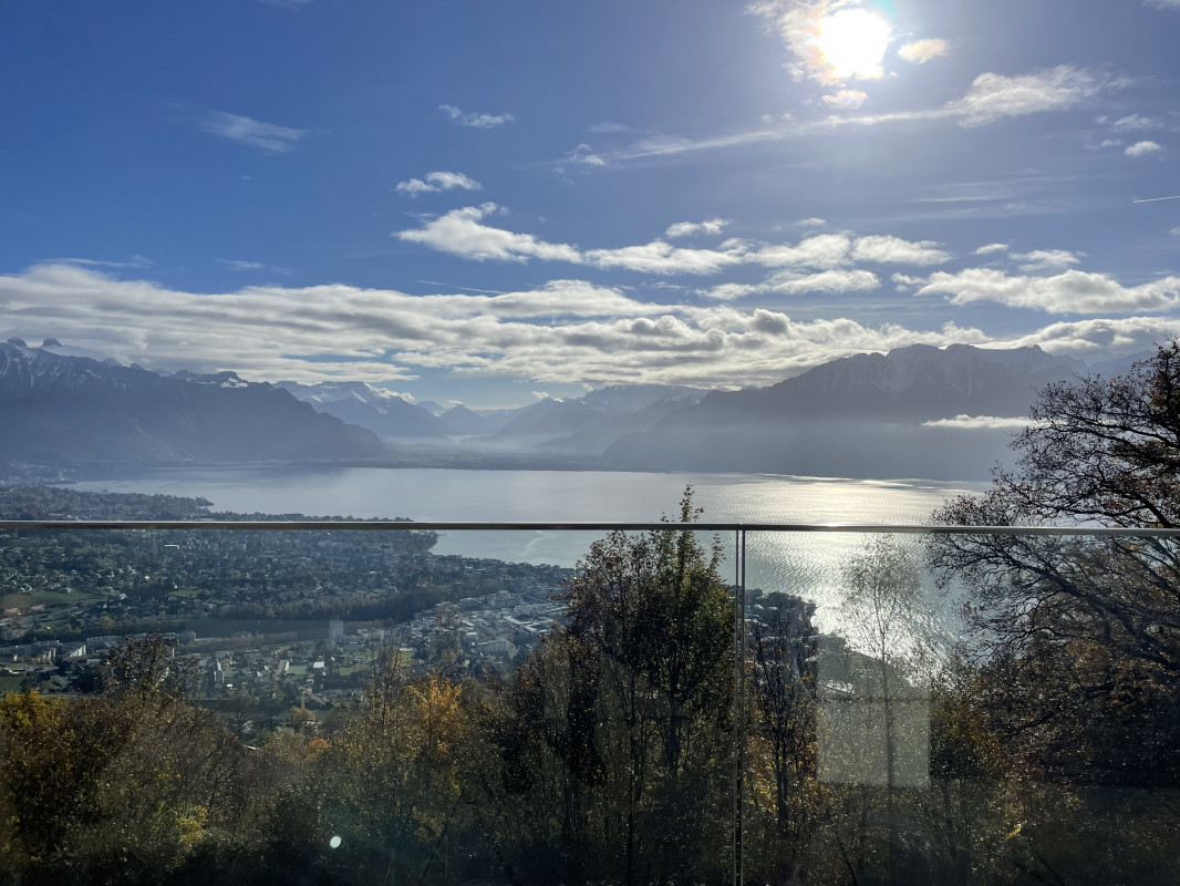 Splendides appartements avec vue époustouflante (VD-CH)