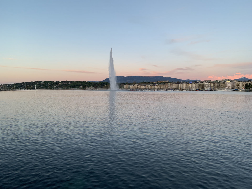 Deux appartements de prestige en première ligne du lac à Genève (GE-CH)