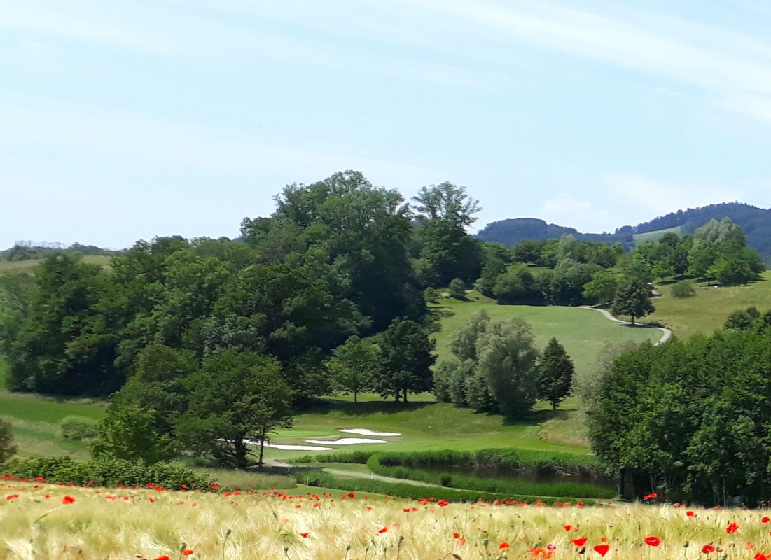 Investisseurs amateurs de golf ! 2 Parcelles de terrain de golf  246'384 m2
