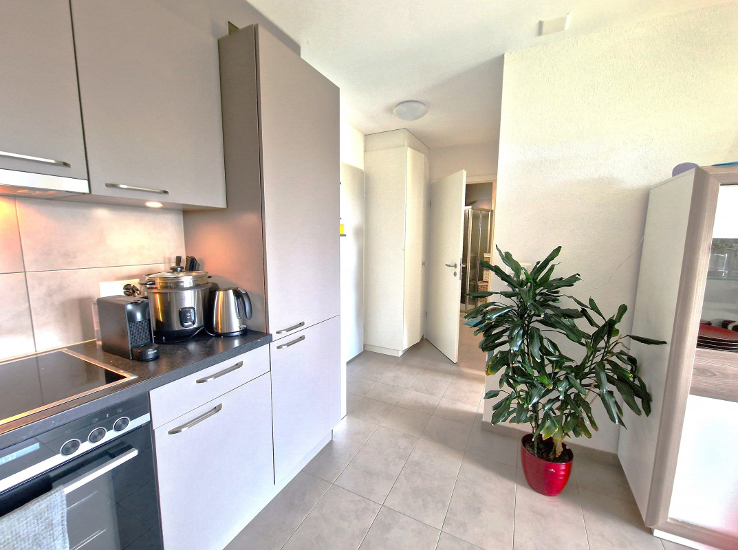 Appartement de 2,5 pièces Minergie, lumineux, belle vue dégagée 