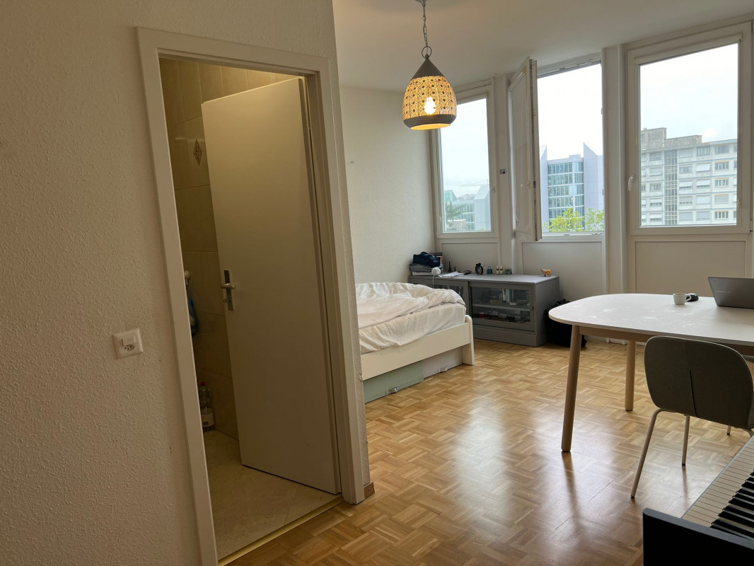 Joli studio meublé à sous-louer / Onex, Genève
