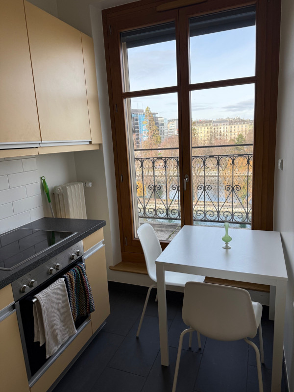 Très joli 2 pièces Hypercentre de Genève