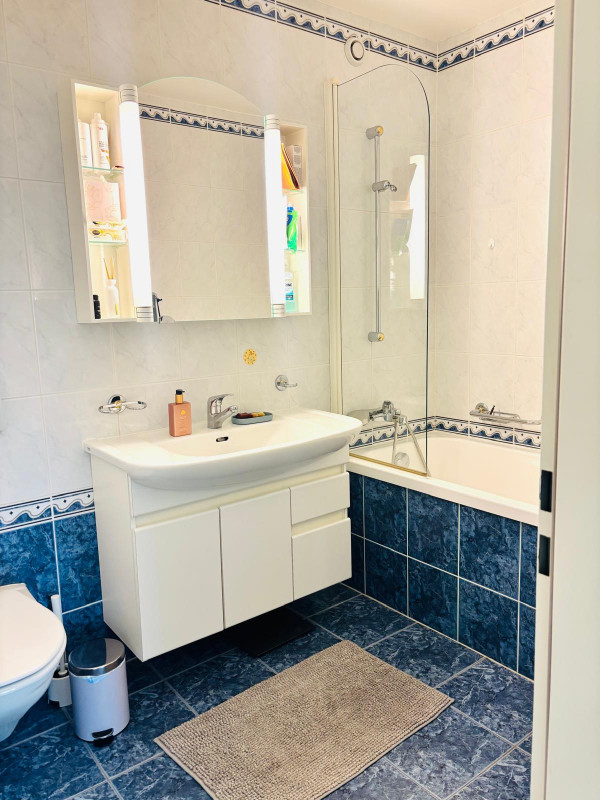 Très beau 5.5 pièces entièrement meublé avec balcon au Petit-Saconnex/Genève
