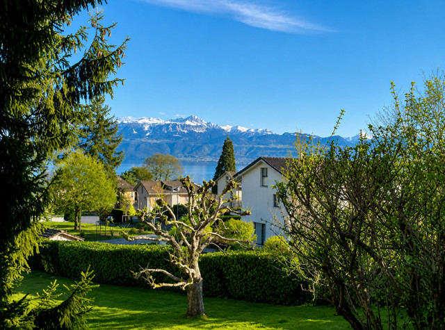 Magnifique 2 pièce meublé avec terrasse de 57m2 à deux min du lac/St-Sulpice VD