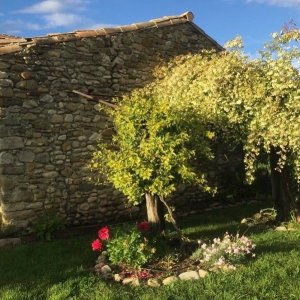 Ancienne ferme rénovée du XIXᵉ siècle en Drôme Provençale - France — photo 16