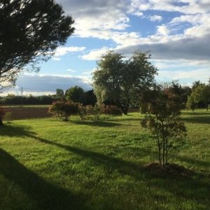 Ancienne ferme rénovée du XIXᵉ siècle en Drôme Provençale - France — photo 24