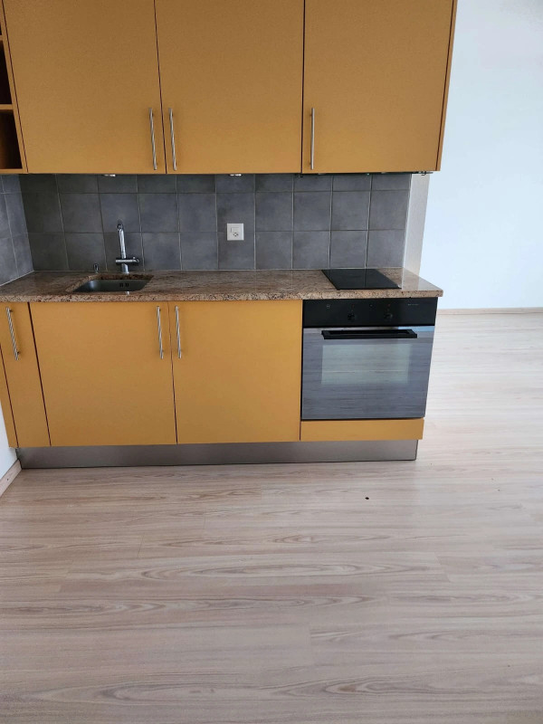 Charmant studio lumineux et moderne à Genolier — photo 3