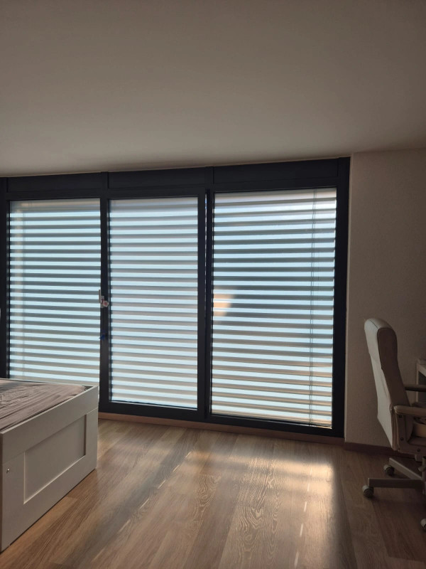 Charmant studio lumineux et moderne à Genolier — photo 9