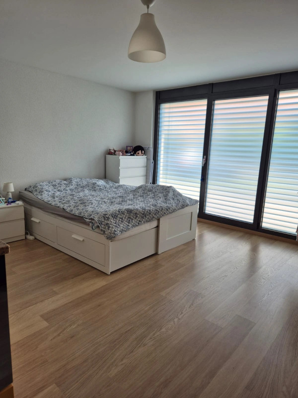 Charmant studio lumineux et moderne à Genolier — photo 11