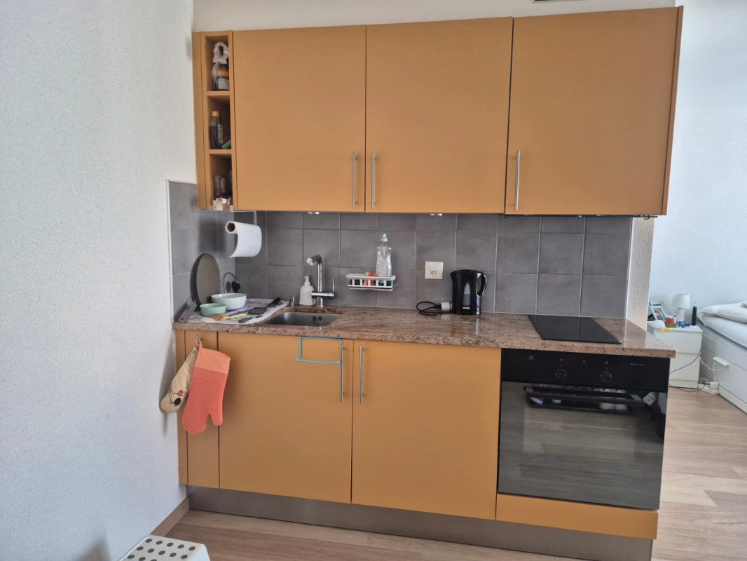 Charmant studio lumineux et moderne à Genolier — photo 15
