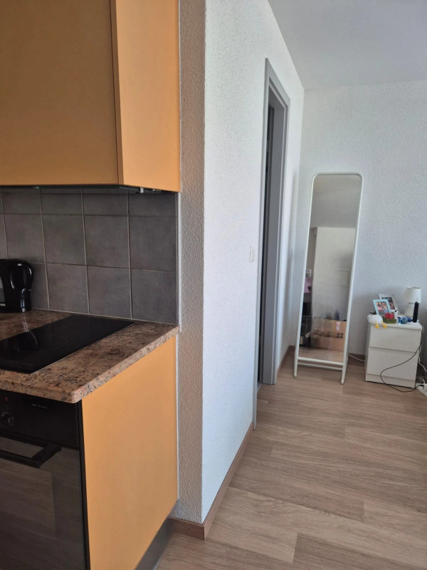 Charmant studio lumineux et moderne à Genolier — photo 17