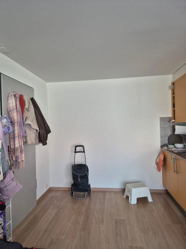 Charmant studio lumineux et moderne à Genolier — photo 19
