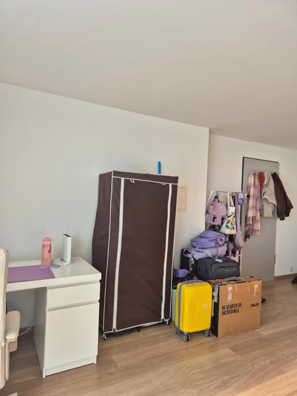 Charmant studio lumineux et moderne à Genolier — photo 21