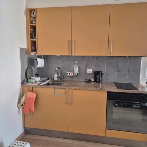 Charmant studio lumineux et moderne à Genolier — photo 16
