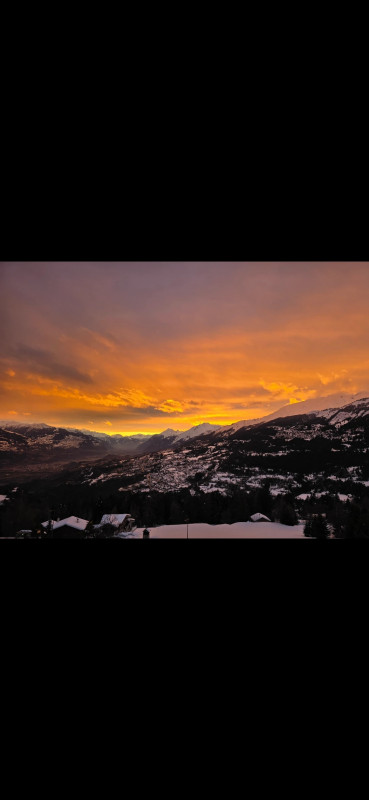 Appartement 3,5 p paisible avec vue — photo 11