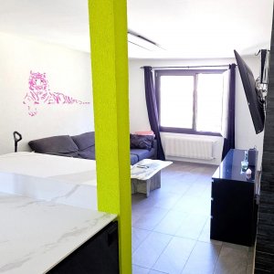 Appartement de 3,5 pièces lumineux vue sur les montagne — photo 2