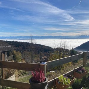 5 Pièces, 148 m², Rez-de-chaussée avec vue sur les alpes — photo 6