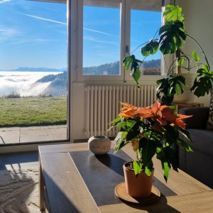 5 Pièces, 148 m², Rez-de-chaussée avec vue sur les alpes — photo 8