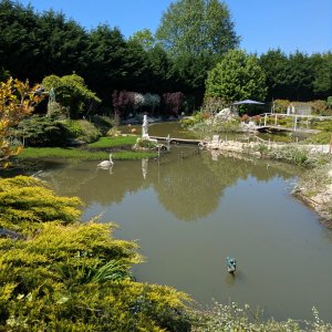 MAISON AVEC ETANG SUR 2700 M2 — photo 2