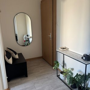 Appartement de 3 pièces au 5ème étage situé à Onex 1213 — photo 8
