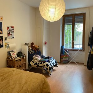 Appartement de 3 pièces au rez-supérieur à Genève 1207 — photo 12