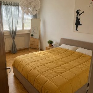 Magnifique 7 pièces de 124 m² à Meyrin — photo 8