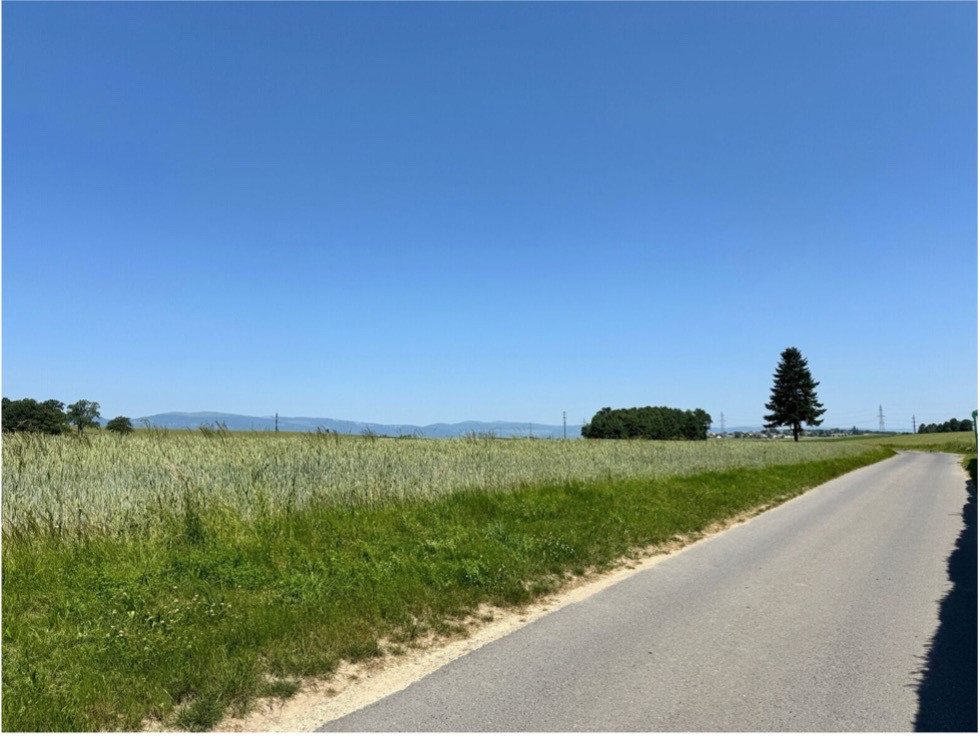 RAVISSANT DUPLEX 3.5 PIÈCES RÉNOVÉ EN 2025, AU CŒUR DE LA NATURE — photo 23