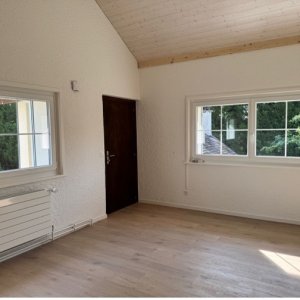 RAVISSANT DUPLEX 3.5 PIÈCES RÉNOVÉ EN 2025, AU CŒUR DE LA NATURE — photo 6