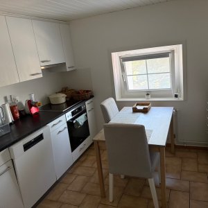RAVISSANT DUPLEX 3.5 PIÈCES RÉNOVÉ EN 2025, AU CŒUR DE LA NATURE — photo 14