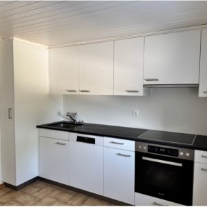 RAVISSANT DUPLEX 3.5 PIÈCES RÉNOVÉ EN 2025, AU CŒUR DE LA NATURE — photo 16