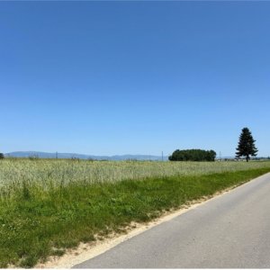 RAVISSANT DUPLEX 3.5 PIÈCES RÉNOVÉ EN 2025, AU CŒUR DE LA NATURE — photo 24