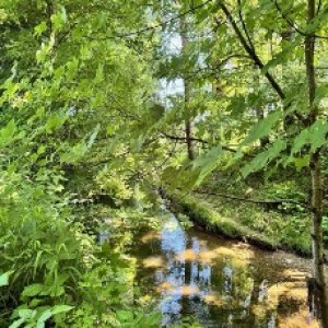 RAVISSANT DUPLEX 3.5 PIÈCES RÉNOVÉ EN 2025, AU CŒUR DE LA NATURE — photo 26