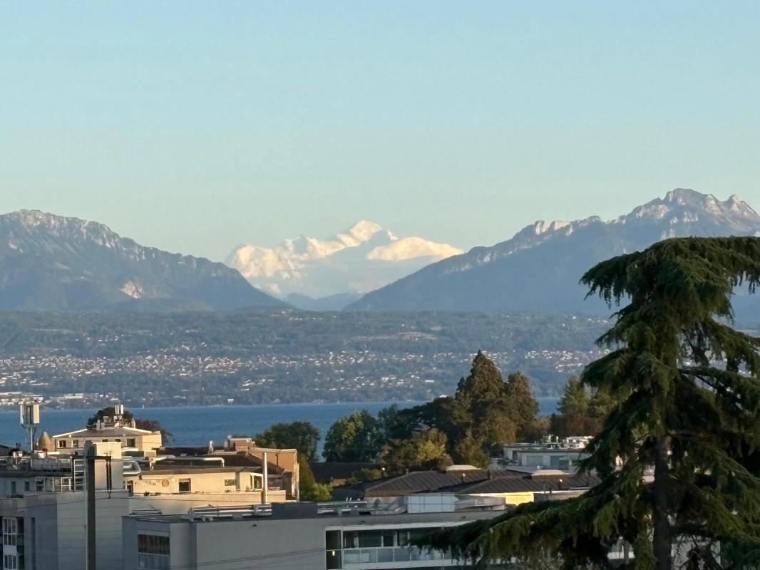 🌿 Magnifique 3,5 pièces avec vue panoramique Lac & Mont-Blanc – Morges 🌿 — photo 13