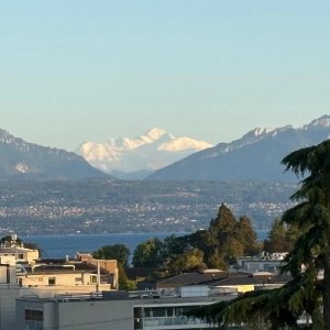 🌿 Magnifique 3,5 pièces avec vue panoramique Lac & Mont-Blanc – Morges 🌿 — photo 14