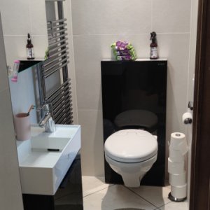Belle maison familiale au calme avec grand jardin et espace professionnel – Gland — photo 24