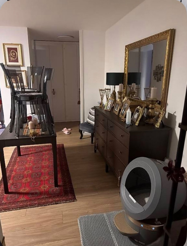Appartement de 3,5 pièces au 3ème étage sans ascenseur situé à Perly 1258 — photo 15
