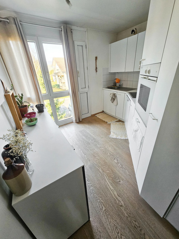 Appartement avec vue sur le lac et les Alpes à Gland — photo 11