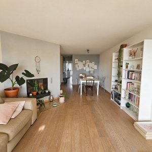 Appartement avec vue sur le lac et les Alpes à Gland — photo 6