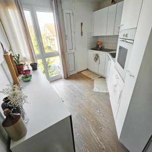 Appartement avec vue sur le lac et les Alpes à Gland — photo 12