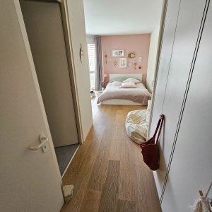 Appartement avec vue sur le lac et les Alpes à Gland — photo 14