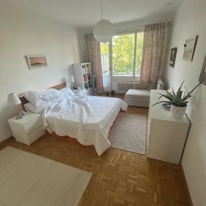 Magnifique appartement de 5,5 pièces au 3ème étage situé à Genève 1202 — photo 10