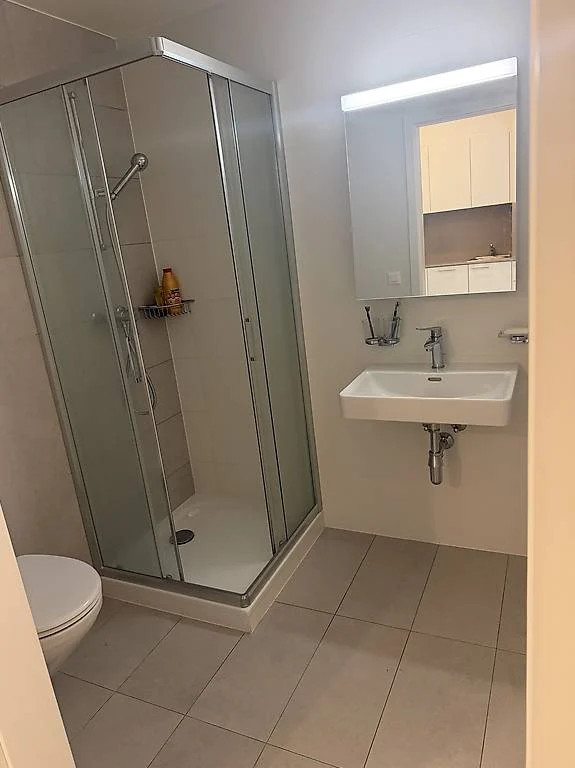 Appartement rénové de 2 pièces au 1er étage situé à Genève 1201 — photo 5