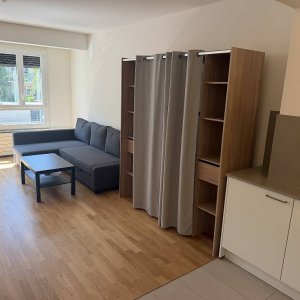 Appartement rénové de 2 pièces au 1er étage situé à Genève 1201 — photo 2