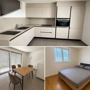 Villa de 3.5 pièce en duplex - 1 place de parc ext. couverte — photo 4