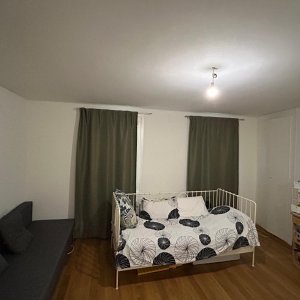 Appartement de 1,5 pièces au 2ème étage sans ascenseur situé à Carouge 1227 — photo 2