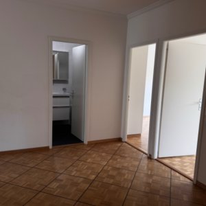 Appartement de 5,5 pièces au rez-de-chaussée situé à Petit Saconnex 1219 — photo 10
