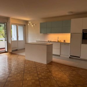 Appartement de 5,5 pièces au rez-de-chaussée situé à Petit Saconnex 1219 — photo 4