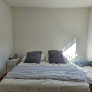 Appartement de 3 pièces au 1er étage situé à Versoix 1290 — photo 12