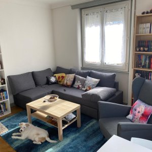 Appartement de 3 pièces au 5ème étage situé à Genève 1205 — photo 6